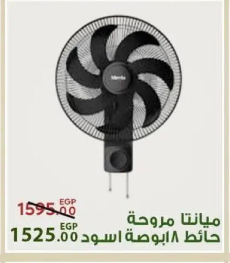 available at Sarai Market  in Egypt - Cairo