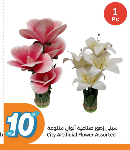 available at سيتي هايبرماركت in قطر - الوكرة