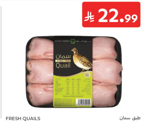 available at Carrefour in KSA, Saudi Arabia, Saudi - Medina