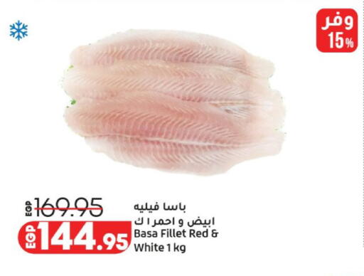 available at لولو هايبرماركت in Egypt - القاهرة