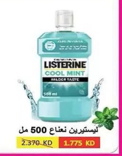 Mint available at Mubarak Al-Kabeer & Al-Qurain Co-Operative Society in Kuwait - Kuwait City