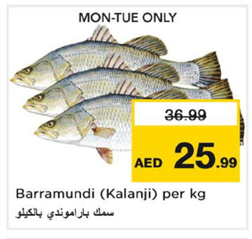 available at نستو هايبرماركت in الإمارات العربية المتحدة , الامارات - رَأْس ٱلْخَيْمَة