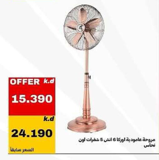 available at Daiya Society in Kuwait - Ahmadi Governorate