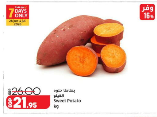 Sweet Potato available at لولو هايبرماركت in Egypt - القاهرة