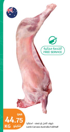 available at سيتي هايبرماركت in قطر - الضعاين