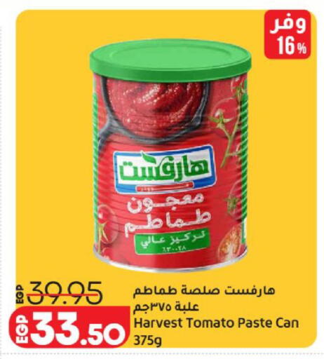 Tomato available at لولو هايبرماركت in Egypt - القاهرة