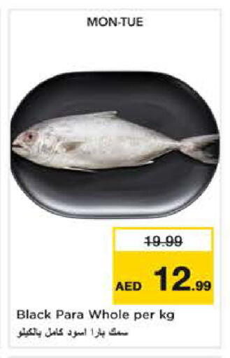 available at نستو هايبرماركت in الإمارات العربية المتحدة , الامارات - دبي