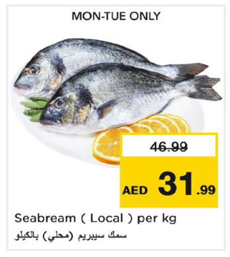 available at نستو هايبرماركت in الإمارات العربية المتحدة , الامارات - رَأْس ٱلْخَيْمَة