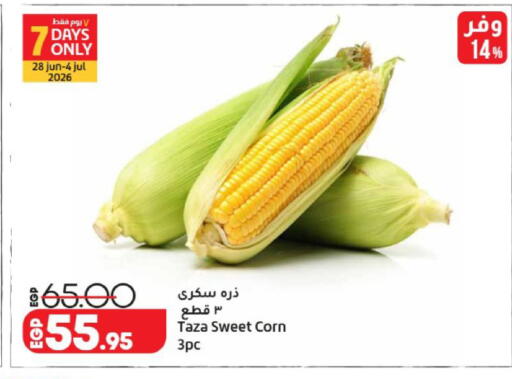 available at لولو هايبرماركت in Egypt - القاهرة