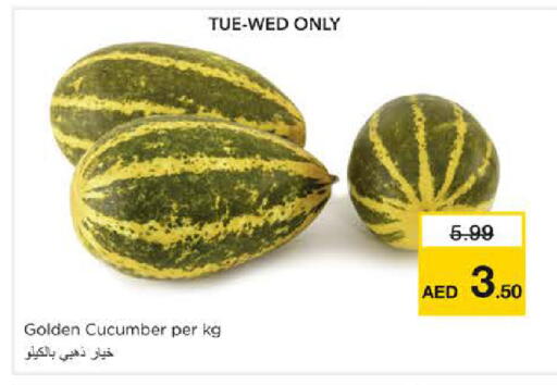 Cucumber available at نستو هايبرماركت in الإمارات العربية المتحدة , الامارات - الشارقة / عجمان