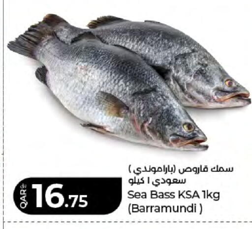 available at LuLu Hypermarket in Qatar - Doha