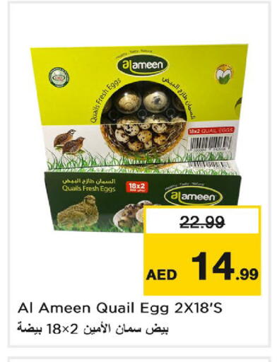 available at نستو هايبرماركت in الإمارات العربية المتحدة , الامارات - دبي