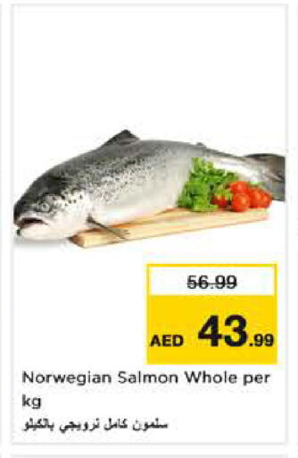 available at نستو هايبرماركت in الإمارات العربية المتحدة , الامارات - دبي