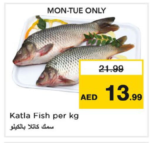 available at نستو هايبرماركت in الإمارات العربية المتحدة , الامارات - رَأْس ٱلْخَيْمَة