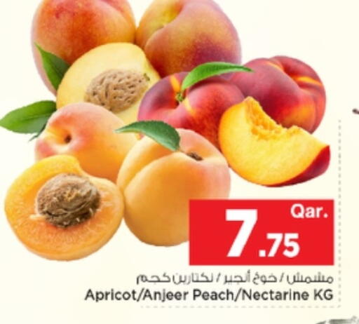 Apricot Peach Nectarine available at Mark & Save  in Qatar - Al Shamal
