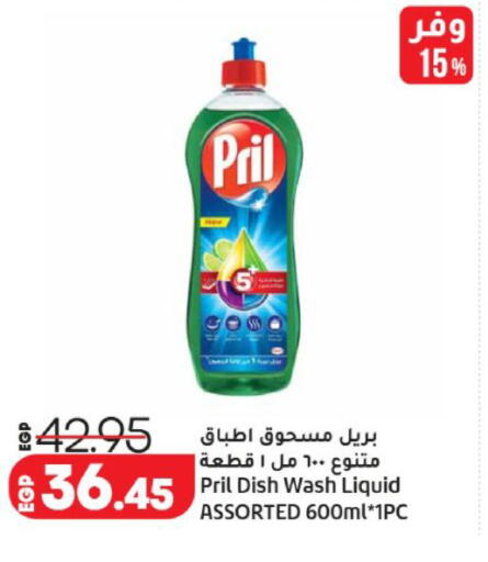 available at لولو هايبرماركت in Egypt - القاهرة