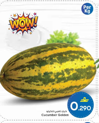 Cucumber available at مارك & سايف in عُمان - مسقط‎