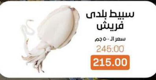 available at بيت الجملة in Egypt - القاهرة