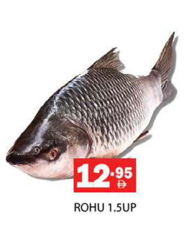 available at زين مارت سوبرماركت in الإمارات العربية المتحدة , الامارات - رَأْس ٱلْخَيْمَة