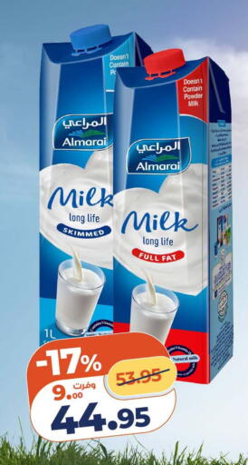 available at Kazyon  in Egypt - Cairo