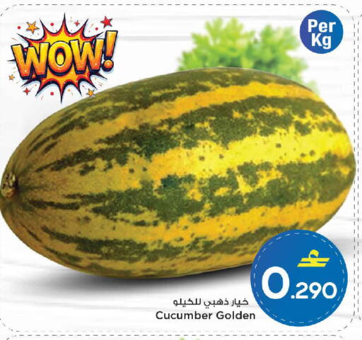 Cucumber available at مارك & سايف in عُمان - مسقط‎