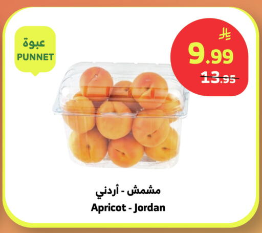 Apricot from Jordan available at Al Raya in KSA, Saudi Arabia, Saudi - Bishah