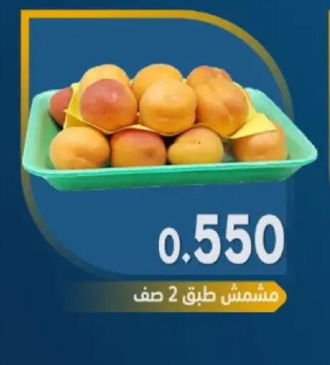 available at جمعية مدينة صباح الأحمد التعاونية in الكويت - محافظة الأحمدي
