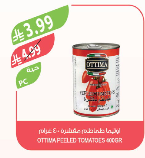 Tomato available at المزرعة in مملكة العربية السعودية, السعودية, سعودية - ينبع
