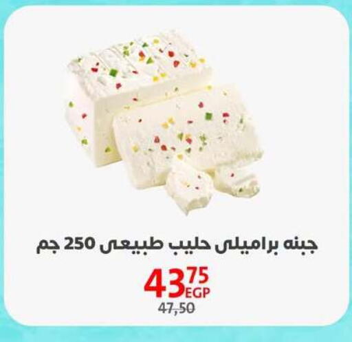 available at Arab DownTown in Egypt - Cairo