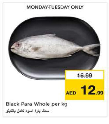 available at نستو هايبرماركت in الإمارات العربية المتحدة , الامارات - أبو ظبي