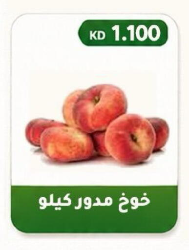 available at جمعية فحيحيل التعاونية in الكويت - محافظة الأحمدي