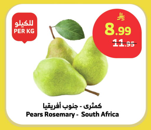 Rosemary from South Africa available at Al Raya in KSA, Saudi Arabia, Saudi - Bishah