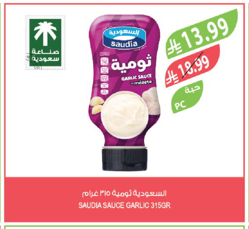 Garlic available at المزرعة in مملكة العربية السعودية, السعودية, سعودية - ينبع