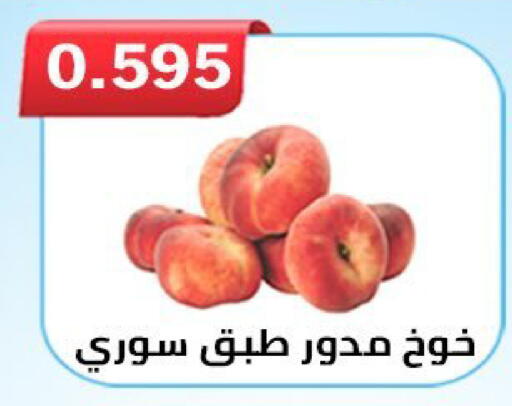 available at  Al Ardhiya coop  in Kuwait - Ahmadi Governorate