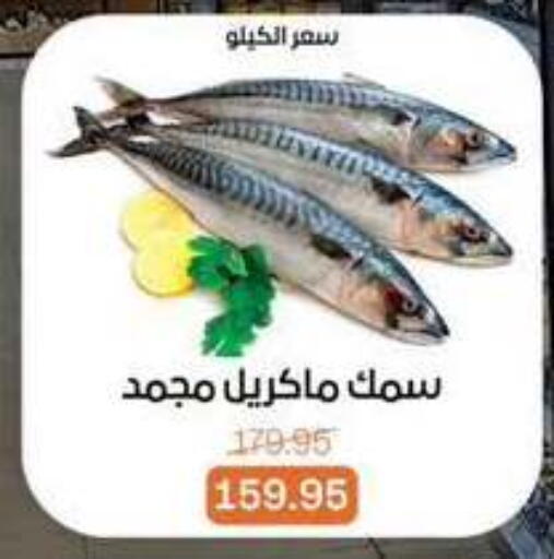 available at Beit El Gomla in Egypt - Cairo