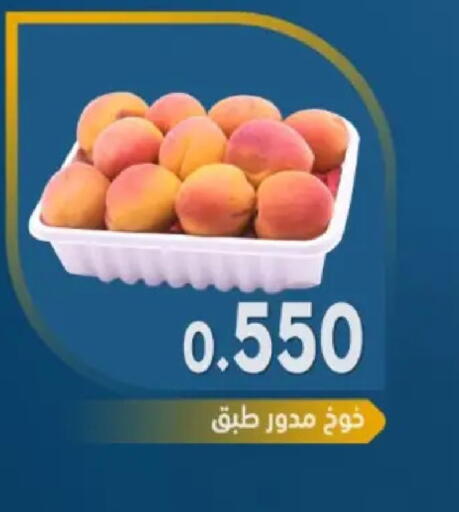 available at جمعية مدينة صباح الأحمد التعاونية in الكويت - محافظة الأحمدي