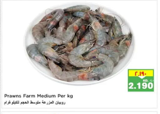 available at Nesto Hypermarkets in Kuwait - Ahmadi Governorate