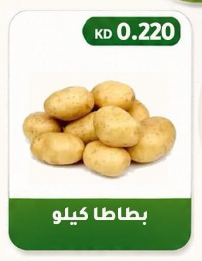 available at Al Fahaheel Co - Op Society in Kuwait - Ahmadi Governorate
