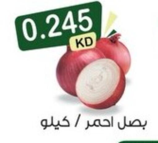 available at Mubarak Al-Kabeer & Al-Qurain Co-Operative Society in Kuwait - Kuwait City