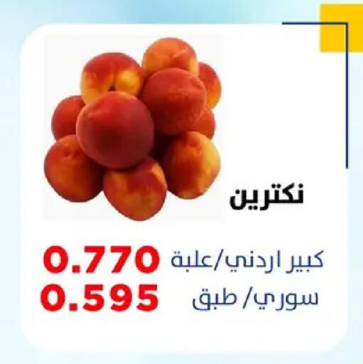 available at جمعية ضاحية صباح السالم التعاونية in الكويت - محافظة الأحمدي