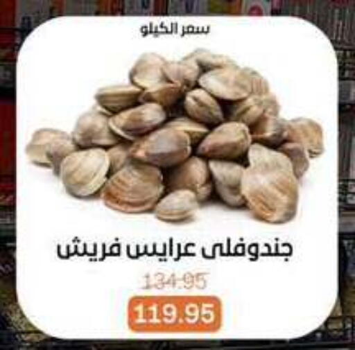 available at Beit El Gomla in Egypt - Cairo