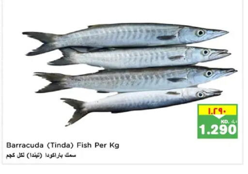 available at Nesto Hypermarkets in Kuwait - Ahmadi Governorate