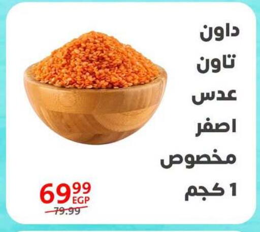 available at Arab DownTown in Egypt - Cairo