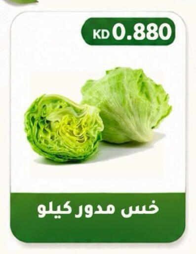 available at Al Fahaheel Co - Op Society in Kuwait - Ahmadi Governorate