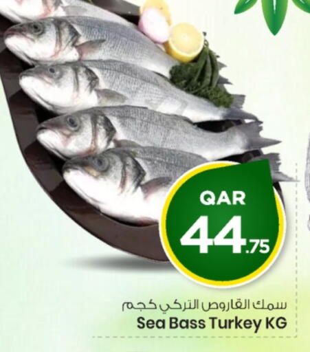 available at مارك & سيف in قطر - الشحانية