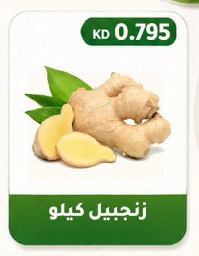 available at Al Fahaheel Co - Op Society in Kuwait - Ahmadi Governorate