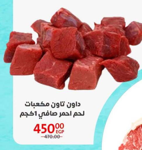 available at Arab DownTown in Egypt - Cairo