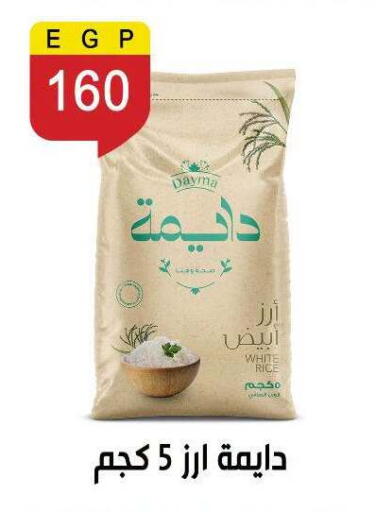 available at Ben Seleman in Egypt - Cairo
