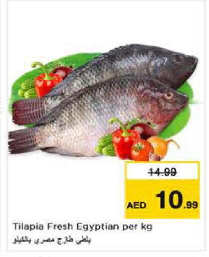 available at نستو هايبرماركت in الإمارات العربية المتحدة , الامارات - أبو ظبي