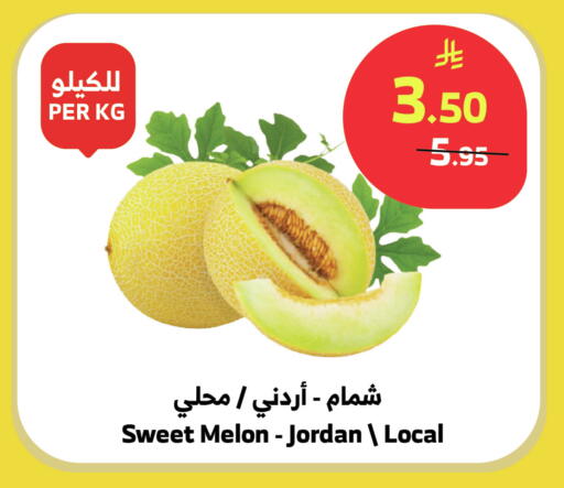 Melon from Jordan available at Al Raya in KSA, Saudi Arabia, Saudi - Bishah
